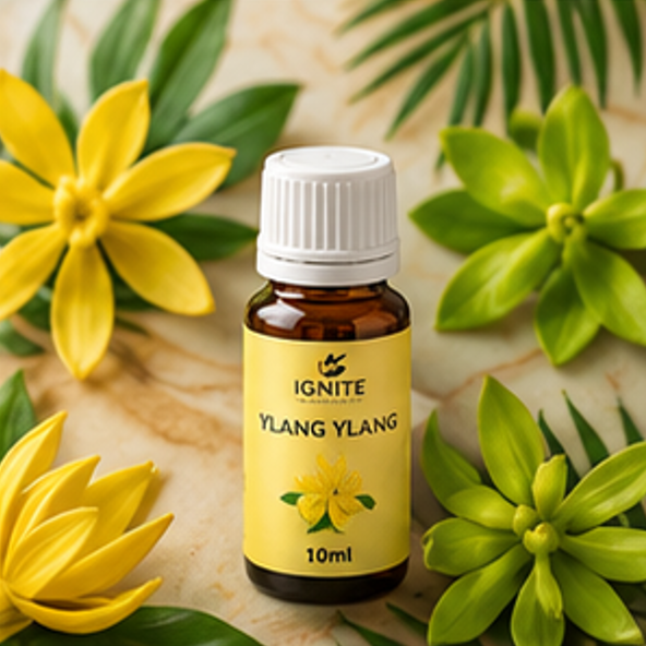IGNITE PureAura Premium 10ml Essential Aroma Oils⁠