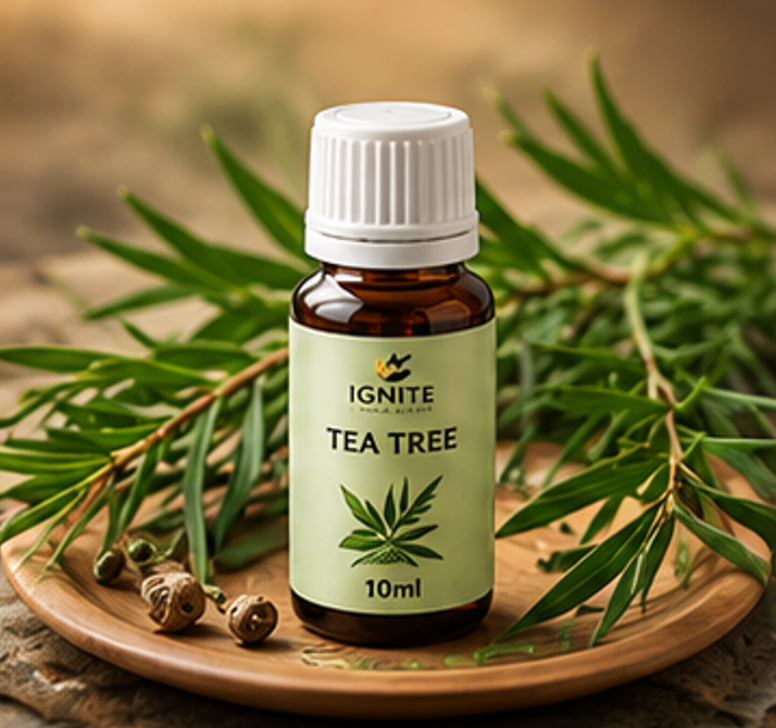 IGNITE PureAura Premium 10ml Essential Aroma Oils⁠